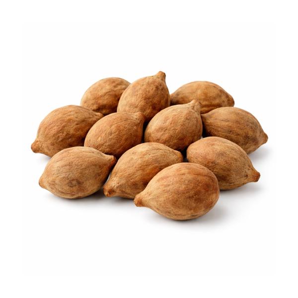 Dried Behda