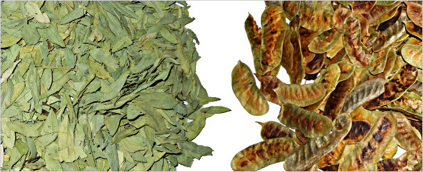 Seena Leaves and Pods